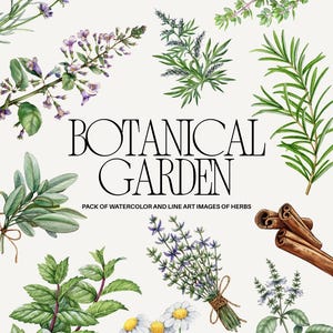 Pode incluir: Uma coleção de ilustrações em aguarela e arte linear de várias ervas e especiarias, incluindo alfazema, cardamomo, alecrim, sálvia, hortelã, camomila e paus de canela, com o texto BOTANICAL GARDEN PACK OF WATERCOLOR AND LINE ART IMAGES OF HERBS.