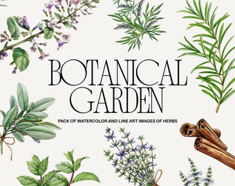 Herbs Clipart Bundle, 20 Watercolor PNG Files, Botanical Kitchen Illustrations for Branding, Packaging & Recipe Cards