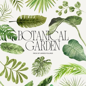 Pode incluir: Uma coleção de ilustrações em aguarela apresentando várias folhas e folhagens tropicais verdes dispostas num fundo claro. O texto BOTANICAL GARDEN e PACK OF VARIED FOLIAGE está impresso a preto no centro da composição.