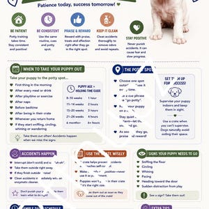 May include: A colorful infographic with a puppy illustration offers potty training tips. It includes advice on consistency, rewards, and recognizing signs. The guide provides a sample schedule and extra tips for success.