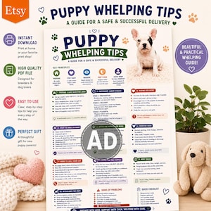 Puede incluir: Un póster informativo blanco titulado PUPPY WHELPING TIPS A GUIDE FOR A SAFE & SUCCESSFUL DELIVERY con un cachorro de bulldog francés, diez secciones de texto numeradas, iconos y una lista de verificación para criadores.