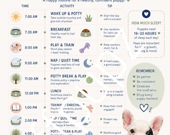 Guía de horarios para cachorros
