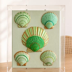 May include: A clear acrylic display box containing a light green fabric panel mounted with five painted scallop shells. The shells feature shades of green and gold, arranged with one large central shell and four smaller shells in the corners.