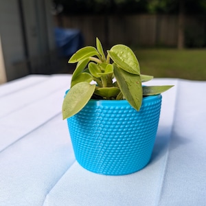 Studded Textured Pot