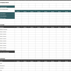 May include: A spreadsheet template with a white background and a grid layout. The top section includes fields for company name, year, and financial metrics. The income and expenses sections have rows for various categories and columns for weekly data.