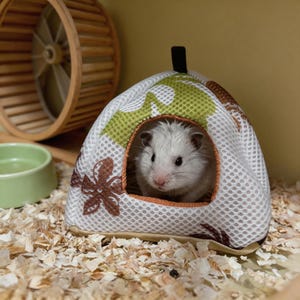 May include: A small, white, fluffy hamster sits inside a triangular, mesh-covered hideout. The hideout features a white fabric base with a green and brown floral pattern, a black top loop, and an orange-trimmed entrance opening.