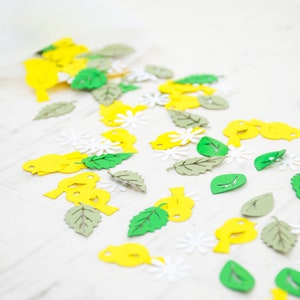 Easter Table Decoration, Spring Baby Shower, Easter Decorations, Spring Confetti
