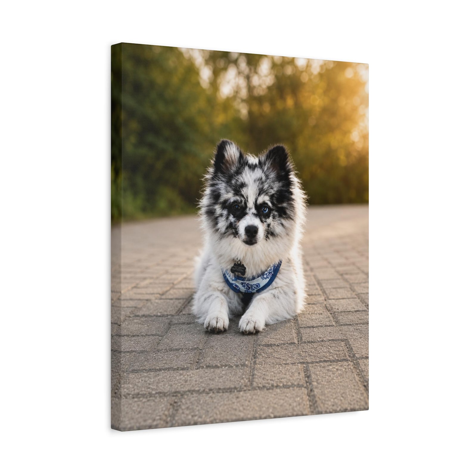 Memorial pet portrait