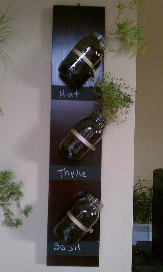 Items similar to Vertical Mason Jar Herb Garden on Etsy