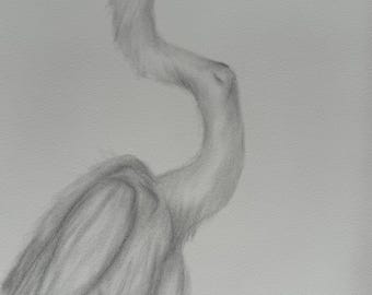 Original Charcoal Sketch Heron | Minimalist Bird Wall Art 12x16