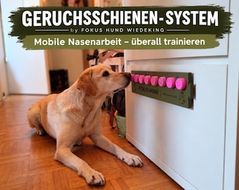 Geurvolgsysteem voor honden | Neuswerk & geurdiscriminatie | Modulaire reeks voor de training van speurhonden