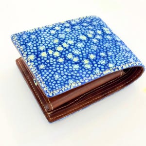 Puede incluir: Una cartera plegable con un exterior estampado en azul y blanco. El exterior de la cartera tiene un aspecto texturizado. El interior es de cuero marrón con costuras blancas. La cartera está cerrada.