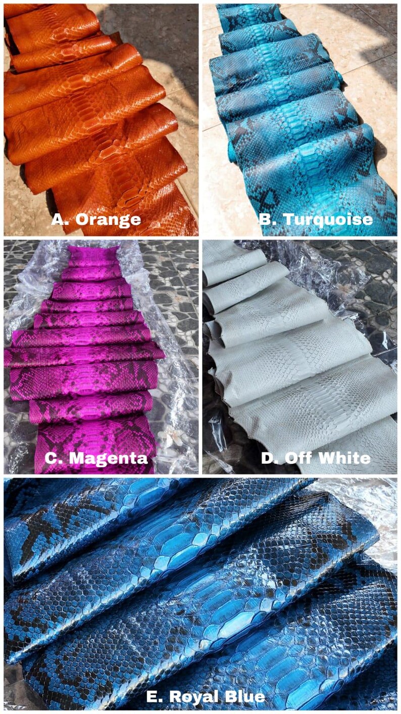 Navy Blue Python Wallet, Matte Python Leather Clutch, Exotic Snakeskin Wallet, Premium Suede Interior, Zip Around Wallet image 5