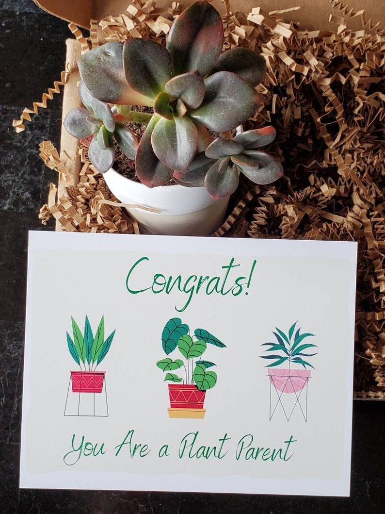 Congrats Plant Parent Succulent Gift Box Live Plant Gift