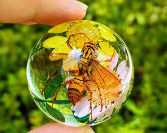 Real Paper Wasp Resin Sphere with Dried Flowers, Insect Specimen Paperweight, Oddity Curio Entomology Gift, Nature Preserved Bug Globe Decor