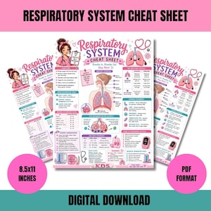 May include: A pink and white educational cheat sheet titled Respiratory System Cheat Sheet, featuring anatomical diagrams of lungs, gas exchange, and medical terminology. The document includes text, icons, and a cartoon character, measuring 8.5x11 inches.