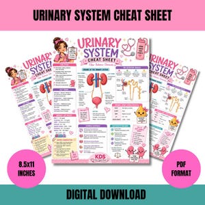 May include: A pink and white educational cheat sheet titled Urinary System Cheat Sheet, featuring diagrams of kidneys, a bladder, and ureters. It includes text sections on functions, key terms, filtration, and disorders, with a cartoon character.