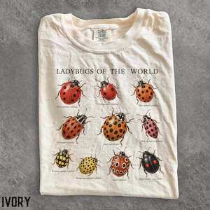 Puede incluir: Una camiseta de color crema con el texto LADYBUGS OF THE WORLD e ilustraciones de nueve especies diferentes de mariquitas con sus nombres impresos debajo, incluyendo Seven-spotted, Two-spotted, Nine-spotted, Convergent, Asian, Pink-spotted, Fourteen-spotted, Twenty-two-spotted, Ryoed y Twice-stabbed.