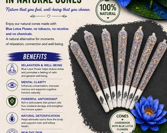 Cones Naturais de Flor de Lótus Azul