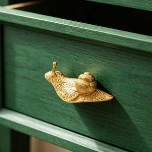 Puede incluir: Un cajón de madera verde oscuro con un tirador de metal dorado en forma de caracol. El cajón presenta una textura de veta de madera visible y un diseño de marco rectangular. El tirador tiene un cuerpo texturizado y una concha en espiral.