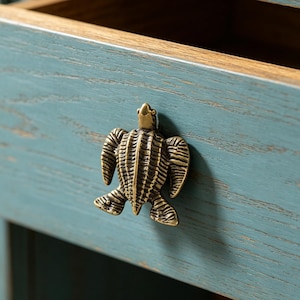 May include: A close-up of a teal-colored wooden drawer with a brass turtle-shaped knob. The drawer is open, revealing a natural wood interior. The knob is detailed with textured lines, giving it a realistic appearance.
