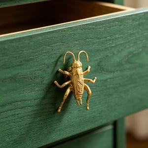 May include: A close-up of a green wooden drawer with a gold-colored insect-shaped handle. The drawer is open, revealing the interior. The handle is a detailed, three-dimensional design of a cricket.