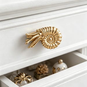 Tirador de cajón Nautilus de latón puro – Tirador de armario artesanal hecho con un fósil marino, detalle creativo para muebles, decoración natural para el hogar.