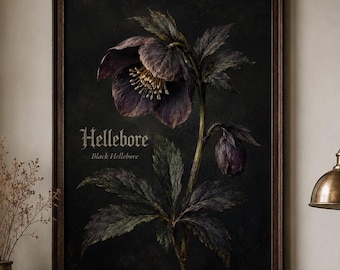 Zwarte Helleborus Wall Art Print Vintage botanische poster Poison Garden Decor Gothic Herbarium veldgids Dark Academia Art