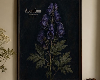 Aconitum Monkshood Wall Art Print Vintage Botanical Poster Poison Garden Decor Gothic Herbarium Field Guide Dark Academia Art
