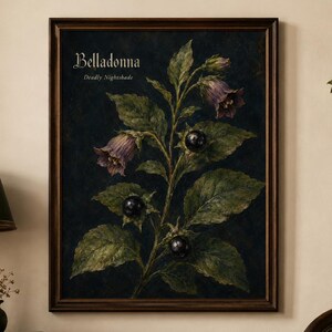 Belladonna wall art print featuring deadly nightshade with purple bell-shaped flowers glossy black berries green leaves and vintage text on a dark gothic botanical field guide background.