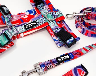 Conjunto de arnés para perro | Juego de collar y correa a juego | Accesorios ajustables para mascotas | Arnés en forma de Y