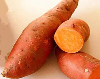 May include: Three sweet potatoes, two whole and one cut in half, showcasing the vibrant orange flesh. The skin is a reddish-brown color. The sweet potatoes are arranged on a light-colored surface.