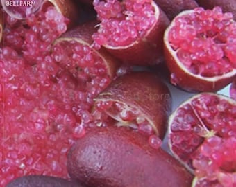 Puede incluir: Una colección de limas dedo con cáscaras de color púrpura-marrón oscuro, algunas cortadas para revelar vesículas de pulpa translúcidas, de color rosa brillante, similares al caviar. El texto 蓝睿多臻 BELLFARM aparece en la esquina superior izquierda.