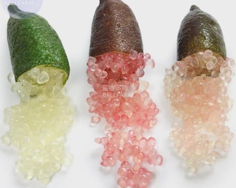Puede incluir: Tres limas dedo cortadas que revelan su pulpa interna. La primera lima es verde con vesículas amarillas translúcidas. La segunda y tercera lima son de color marrón oscuro con vesículas de color rosa rojizo y rosa claro que sobresalen.