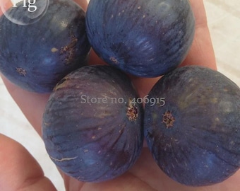 Puede incluir: Cuatro higos redondos de color morado oscuro con piel lisa y ligeramente texturizada y pequeños centros marrones. La fruta muestra tonos violetas e índigo profundos. El texto "fig" y "Store no. 406915" es visible en la superficie.
