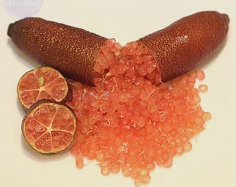 Semillas importadas de granada, lima dedo naranja, 10 semillas