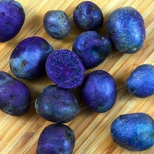 Op de afbeelding: Een verzameling levendige paarse aardappelen, sommige heel en andere gehalveerd, die een diep paars interieur onthullen. De aardappelen zijn gerangschikt op een lichtbruin houten oppervlak, wat hun unieke kleur en textuur benadrukt.