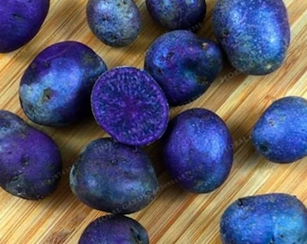 May include: A collection of vibrant purple potatoes, some whole and others halved, revealing a deep violet interior. The potatoes are arranged on a light brown wooden surface, showcasing their unique color and texture.