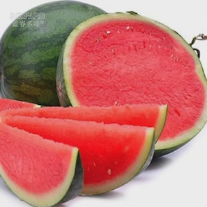 Könnte beinhalten: Eine reife Wassermelone, halbiert und in Scheiben geschnitten. Das Innere ist leuchtend rot mit kleinen schwarzen Kernen. Die Schale ist grün mit dunkelgrünen Streifen. Das Bild zeigt die Frische der Frucht.