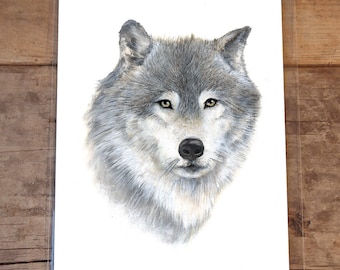 Grey Wolf, 8 by 10 Inches, Fine Art Print, Wolf Art, Animal Illustration, Art Print, Animal Art, abstract forest, wolf painting, forest