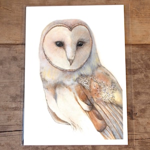 Barn Owl, 8 by 10 Inches, Fine Art Glicee Print of Original, Owl Art, Animal Illustration, Art Print, Animal Art, Bird Art, Animal Print