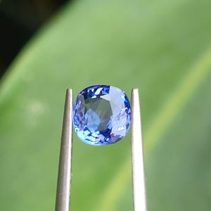 May include: A cushion-cut, faceted sapphire gemstone held by tweezers. The sapphire is a deep blue color with multiple facets that reflect light. The background is a blurred green, suggesting foliage.