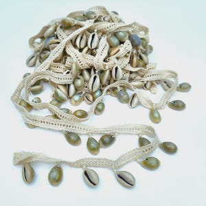 May include: A length of cream-colored crocheted lace trim featuring a repeating pattern of small, natural cowrie shells attached along the bottom edge. The lace has an openwork design and the shells are arranged in a consistent, dangling fashion.