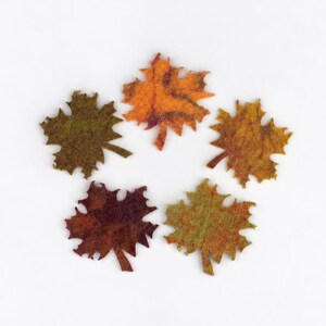 May include: Five flat, die-cut maple leaf shapes arranged in a circular pattern. Each leaf features a distinct color variation, including shades of dark green, bright orange, golden yellow, deep burgundy, and a muted olive green with a textured finish.