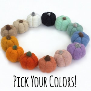 May include: A circle of felt pumpkins in various colors, including orange, red, pink, purple, blue, green, beige, white, gray, and black. The text "PICK YOUR COLORS!" is printed below the pumpkins.