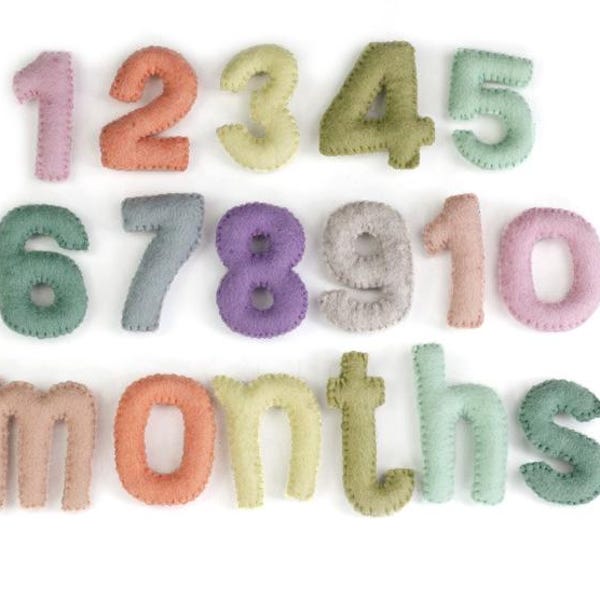 Felt Number Monthly Milestone Set - 0–9 Counting Set - Pastel Nursery Decor - Montessori Inspired Learning - Approx. 3” Tall”