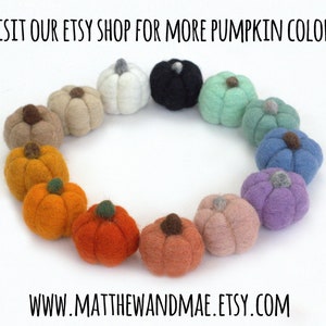 May include: A circle of felt pumpkins in various colours, including orange, yellow, green, blue, purple, and white. The pumpkins are arranged in a circle on a white background. The text "VISIT OUR ETSY SHOP FOR MORE PUMPKIN COLOURS!" is at the top of the image. The text "WWW.MATTHEWANDMAE.ETSY.COM" is at the bottom of the image.