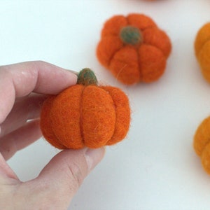 May include: Five felt pumpkins in orange and yellow with green stems. The pumpkins are small and round, and they are perfect for autumn decorations.