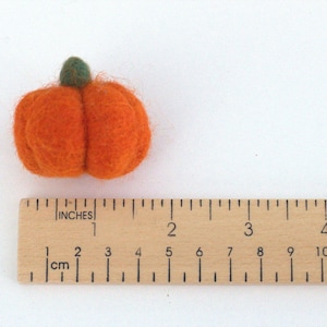 May include: A small, orange felt pumpkin with a green stem. The pumpkin is approximately 2.5 cm in diameter.