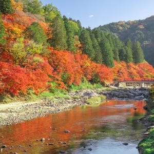 以下が含まれることがあります： 谷を流れる川のある美しい風景。水面には、赤、オレンジ、緑の色合いの木々が映り、鮮やかな紅葉の色を映し出しています。橋が川を渡っています。